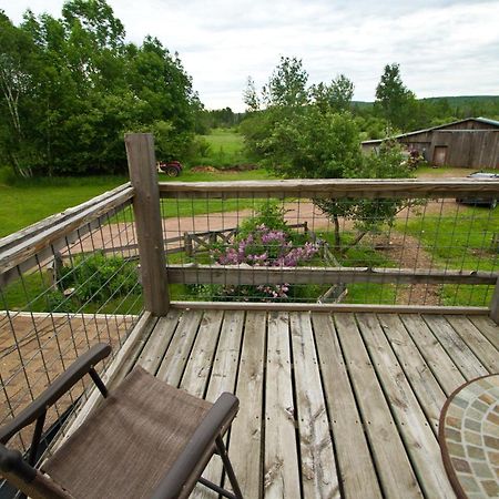 White Horse Stable Apartment Bayfield Exterior photo
